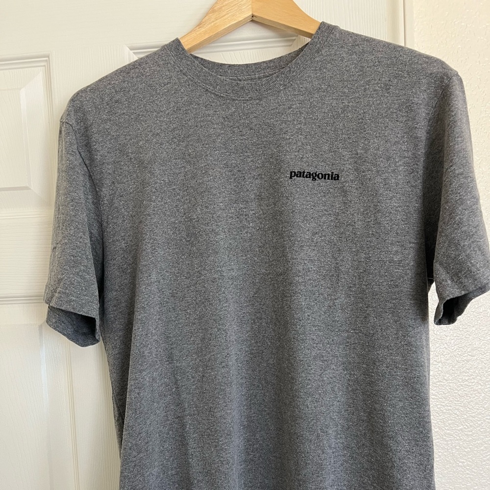 Patagonia Responsibili-tee shirt